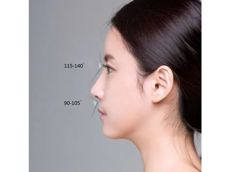 鼻整形臉部比例-2